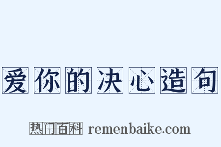 爱你的决心造句是什么意思的图片